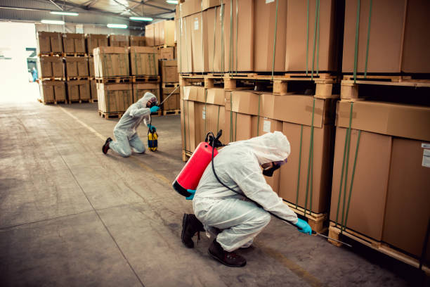 Best Wildlife Control Services  in Coppell, TX