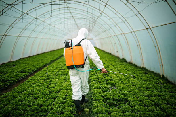 Best Pest Inspection Near Me  in Coppell, TX