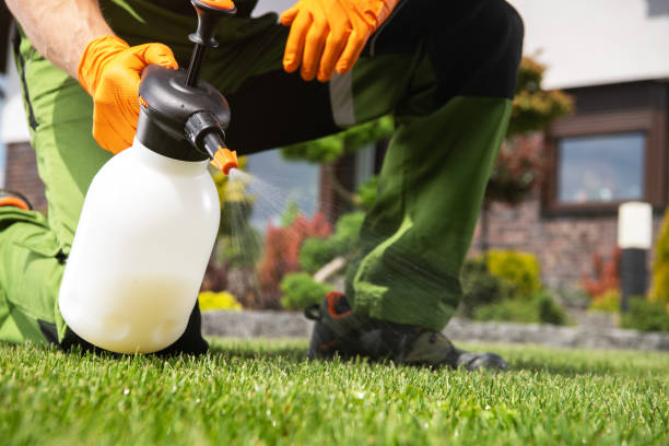 Flea Control Services in Coppell, TX