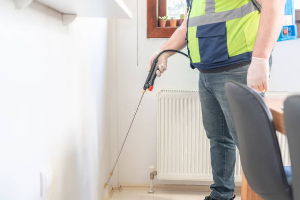 Best Affordable Pest Control Services  in Coppell, TX