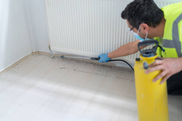 Trusted Coppell, TX Pest Control Experts